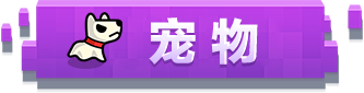 宠物